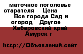 маточное поголовье старателя  › Цена ­ 3 700 - Все города Сад и огород » Другое   . Хабаровский край,Амурск г.